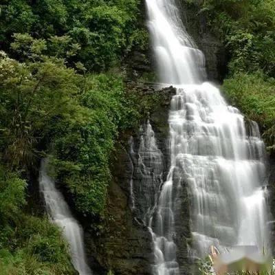 福田街道党工委书记张红军：挖掘经济增长新动能，争当福田“二次创业”排头兵